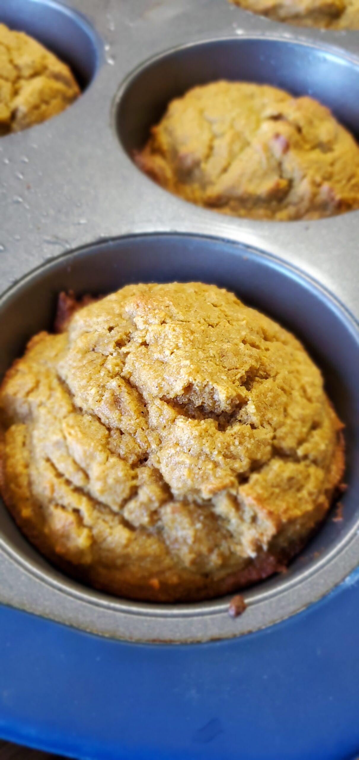 Golden Banana and Pumkin Oat Flour Muffins in a muffin tin